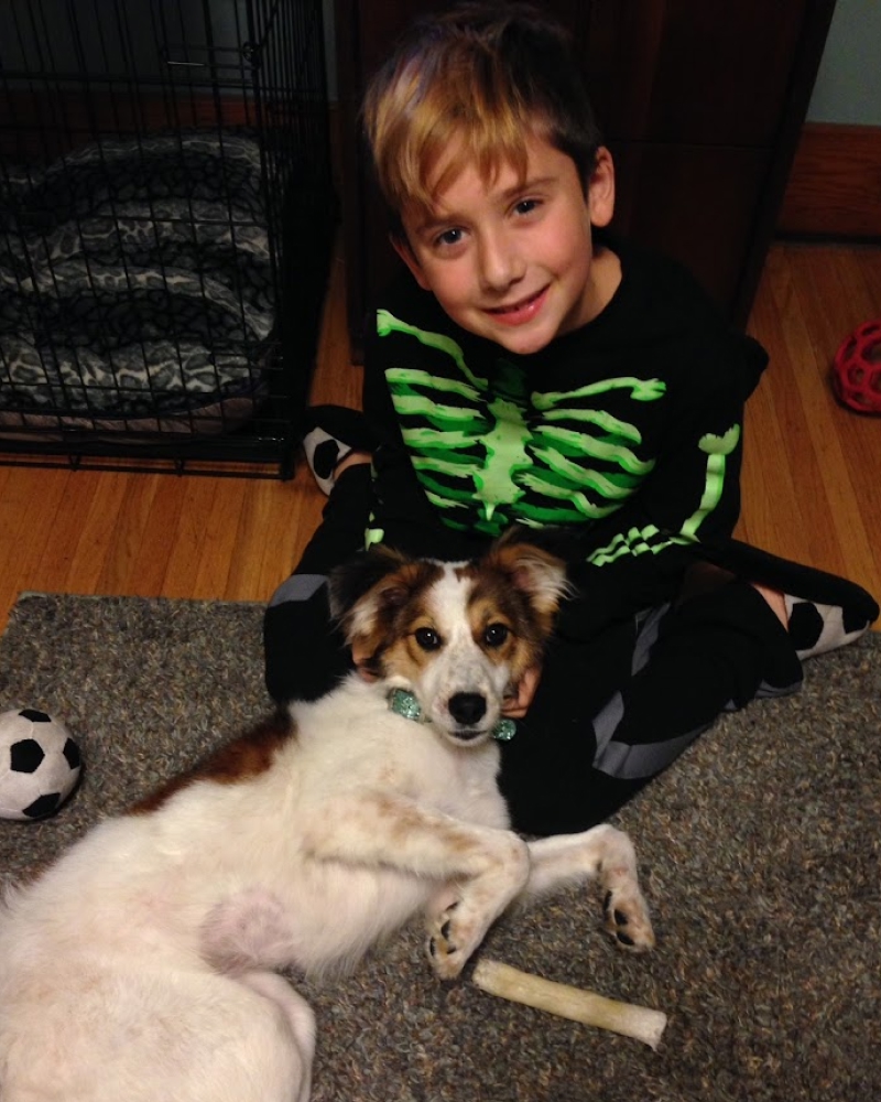 Waylan sits on a carpet in a skeleton costume, smiling with Pixie lying in his lap; a dog crate and a soccer ball toy are in the background.