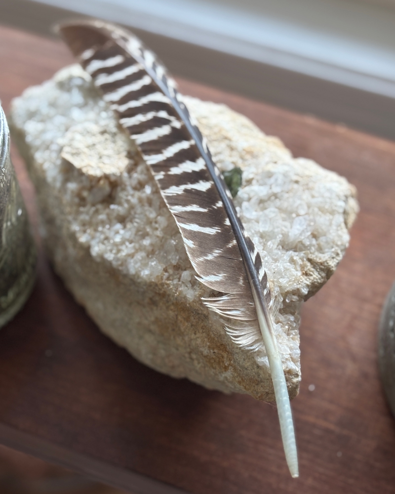 A close-up of a brown-and-white striped feather resting on a rough, sparkling crystal-covered rock on a wooden tabletop.